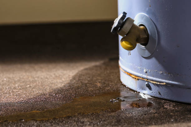 Sewage cleanup and water damage restoration in Newport, TN