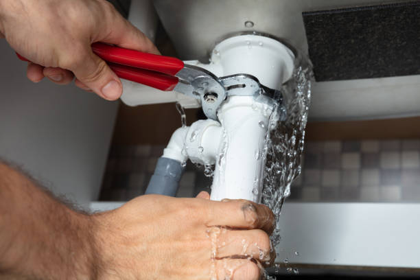 Best Water damage restoration specialists  in Newport, TN