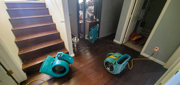 Local water damage restoration in Newport, TN