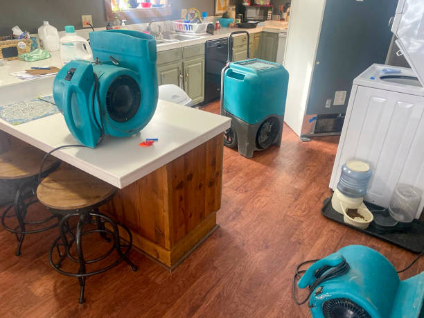 Best Water damage restoration near me  in Newport, TN