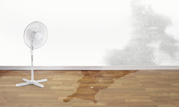 Water damage restoration mold remediation in Newport, TN