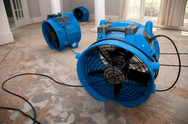 Best Water damage restoration cost  in Newport, TN