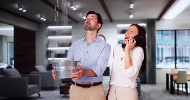 Best Ceiling water damage repair  in Newport, TN