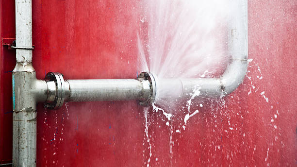 Best Sewage cleanup and water damage restoration  in Newport, TN